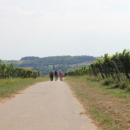 Ferienwohnung Familie Seuferle Schweigen-Rechtenbach Extérieur photo