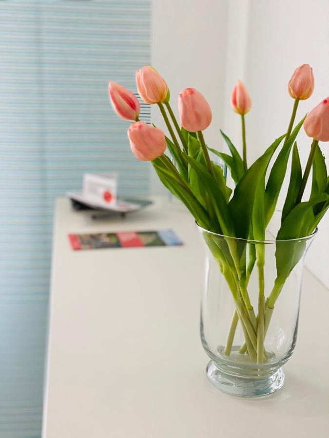 Ferienwohnung Familie Seuferle Schweigen-Rechtenbach Extérieur photo